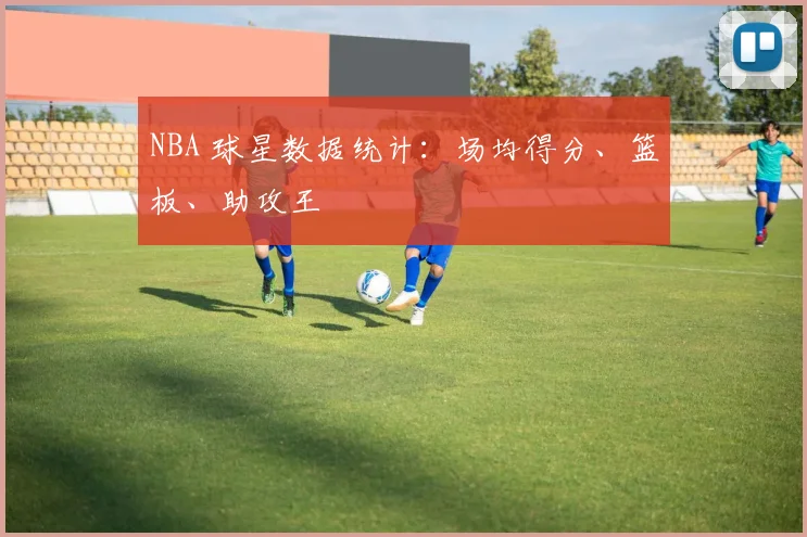 NBA 球星数据统计：场均得分、篮板、助攻王