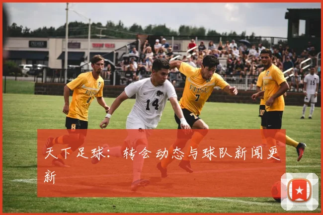 天下足球:转会动态与球队新闻更新