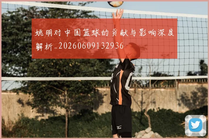 姚明对中国篮球的贡献与影响深度解析_20260609132936