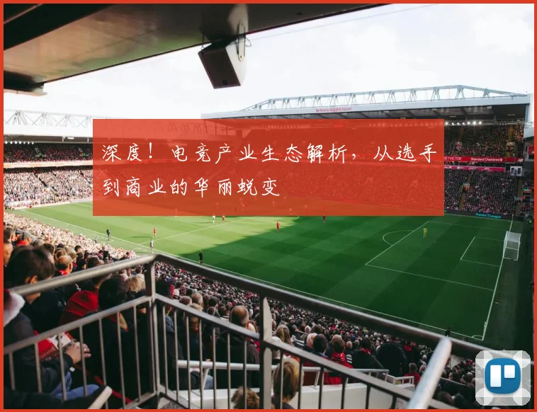 深度！电竞产业生态解析，从选手到商业的华丽蜕变